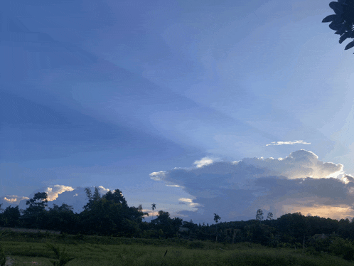 the sun is shining through the clouds over a grassy field
