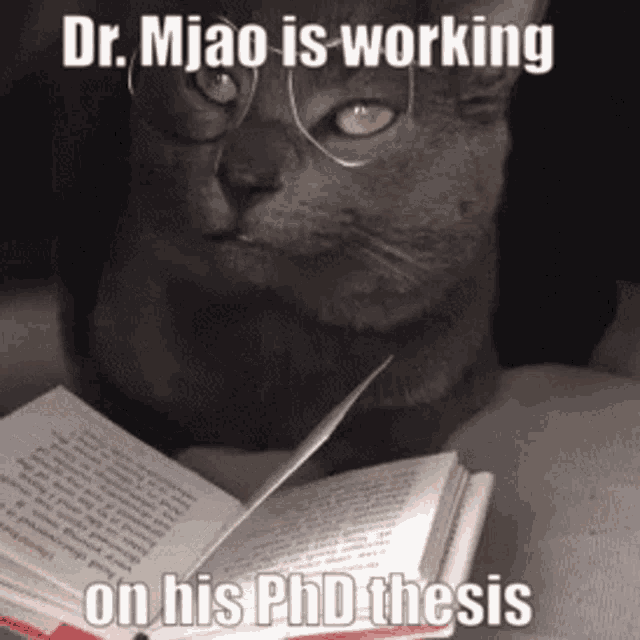 Dr Mjao GIF - Dr Mjao Miau GIFs