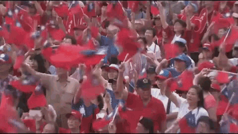a crowd of people are standing in a stadium with red and blue flags