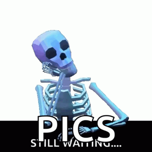 Waiting Skeleton GIF - Waiting Skeleton Still GIFs