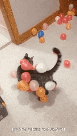 a cat is surrounded by balloons on the floor and playing with them .