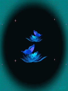Butterflies Flowers GIF - Butterflies Flowers Animation GIFs