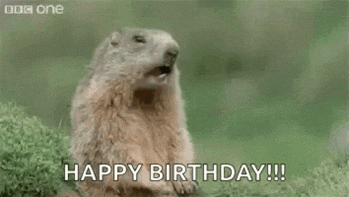 a groundhog is yawning and saying `` hey ! happy birthday ! ''