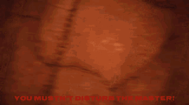 a poster that says you must n't disturb the master on the bottom