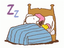 Bed Time Rollover GIF - Bed Time Rollover Sleeping Time GIFs