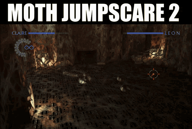 Moth Jumps Care GIF