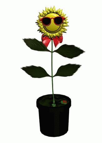 Sunflower Dance GIF - Sunflower Dance Flower GIFs