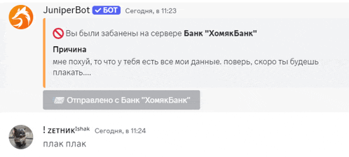 a screenshot of a conversation between a bot and a user