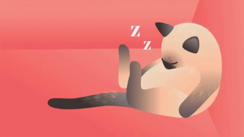 Cat Sleeping GIF - Cat Sleeping Zzzz GIFs