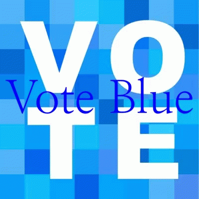 Bluewave Vote GIF - Bluewave Blue Wave GIFs