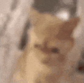 a close up of a person 's face with a blurred background of a door .