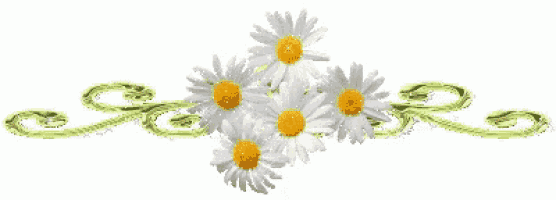 a bunch of daisies with yellow centers and green swirls