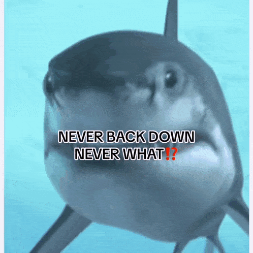Neverbackdownneverwhat GIF - Neverbackdownneverwhat GIFs