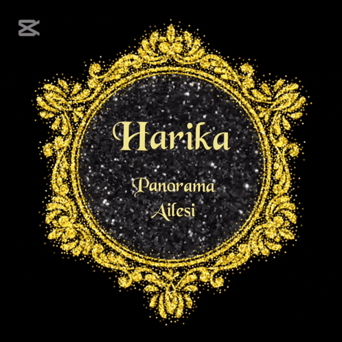 a gold frame with the name harika panorama ailesi