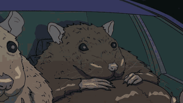 Rat Drive GIF - Rat Drive Rat Drive GIFs