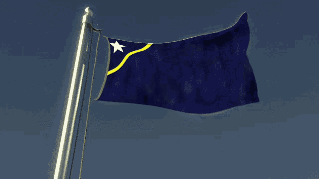 a blue flag with a yellow and white star on it