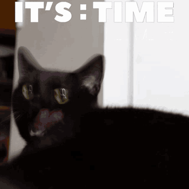 a black cat with its tongue out and the words " it 's time " behind it