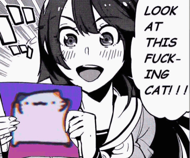 a girl is holding a picture of a cat and says look at this fuck ing cat !