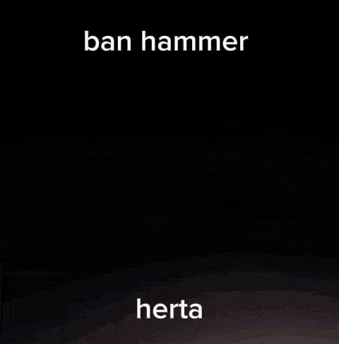 Ban Hammer Herta GIF - Ban Hammer Herta Herthammer GIFs