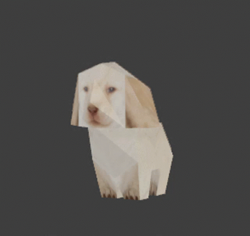 Dog Flip GIF - Dog Flip Polygon GIFs