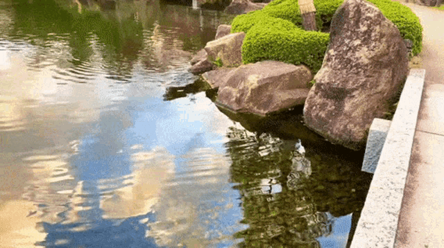 Zen Zen Garden GIF