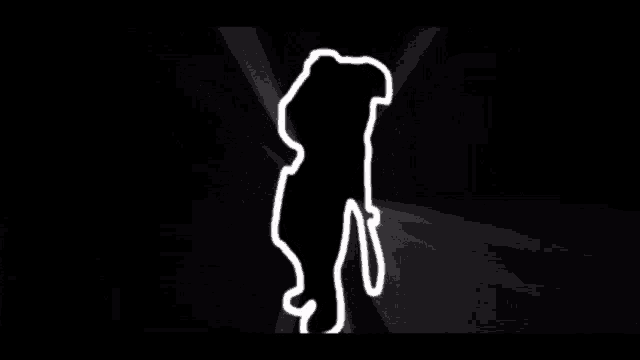 a silhouette of a person standing in the dark with a light coming out of it .