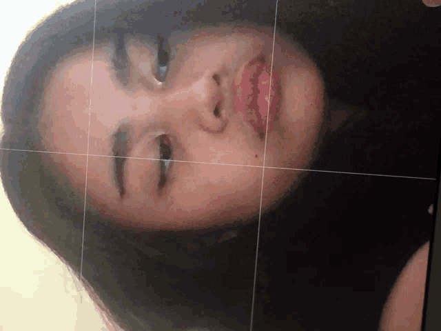 a close up of a woman 's face with a grid around her face