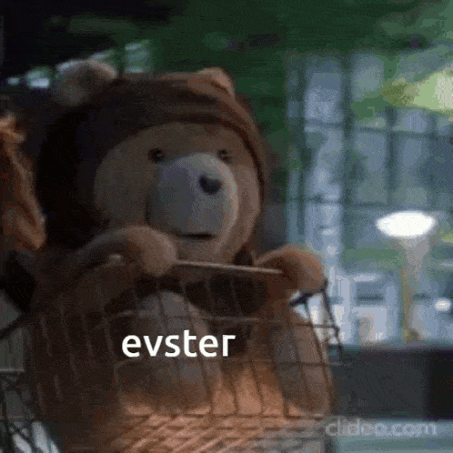 a teddy bear is sitting in a basket with the words evster written on it .