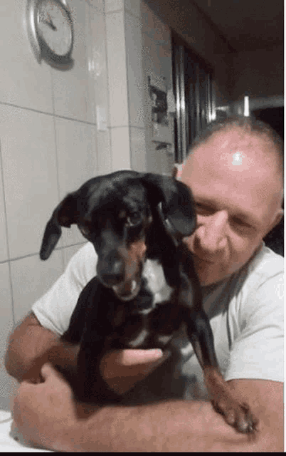 a man is holding a small black and tan dog in his arms .