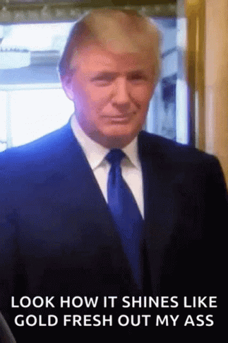 Donald Trump Thumbs Up GIF - Donald Trump Thumbs Up Good Job GIFs