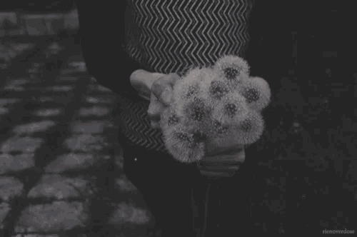 a person holding a bunch of dandelions with a lighter in their hands