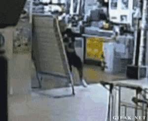a gif from gifak.net shows a dog jumping over a chair