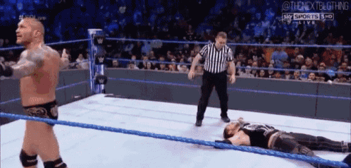 a referee is standing next to a wrestler in a wrestling ring .