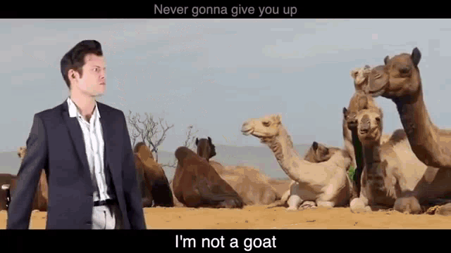 I Am Not A Goat GIF - I Am Not A Goat GIFs