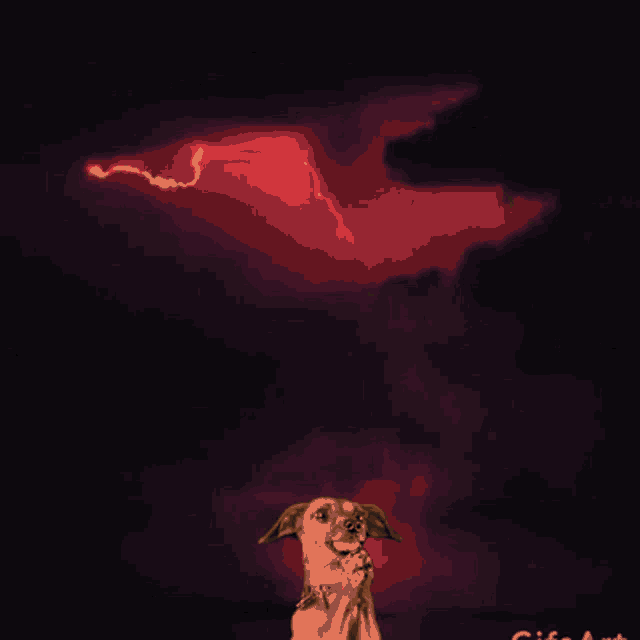a dog is looking at a lightning bolt coming from the sky
