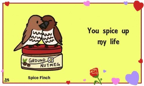Bird You Spice Up My Life GIF - Bird You Spice Up My Life Hug GIFs