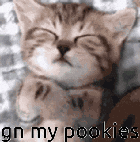 a kitten is sleeping with its eyes closed and the words gn my pookies written below it