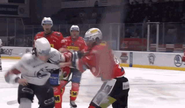 a hockey game is being played in a stadium with skoda on the ice