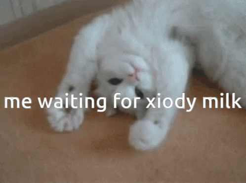 Me Waiting For Xiody Milk Cat GIF - Me Waiting For Xiody Milk Cat Pawing GIFs