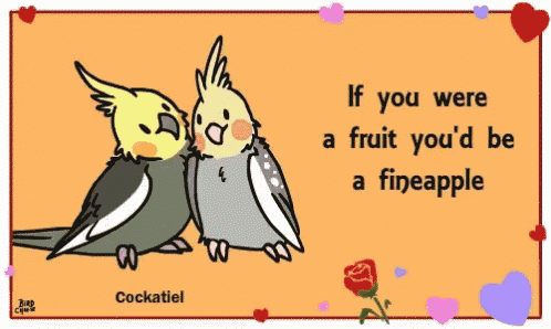 two cockatiels are kissing with the words if you were a fruit you 'd be a pineapple