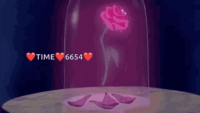 a rose in a glass dome with the words time 6654