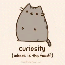 Pusheen Food GIF - Pusheen Food Curiosity GIFs