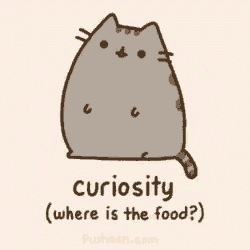 a cartoon cat with the words curiosity ( where is the food ) on it