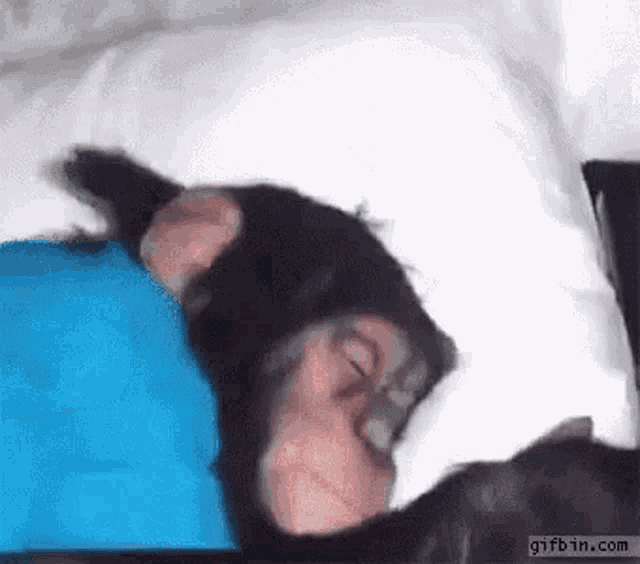 Waking Up Monkey GIF - Waking Up Monkey Just Woke Up GIFs
