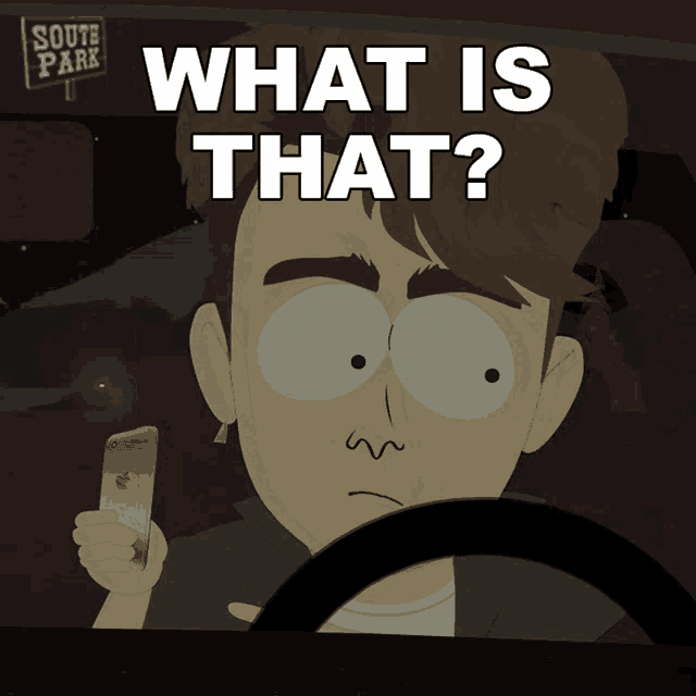 a cartoon of a man in a car with the words " what is that "