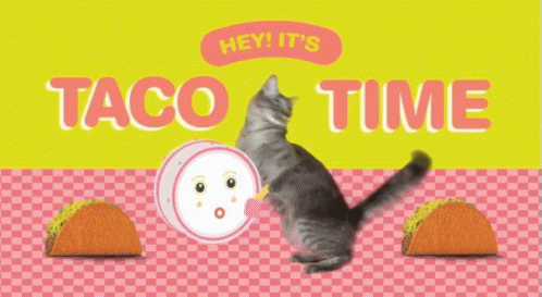 Taco Time Kitty GIF - Taco Time Kitty Tacos GIFs