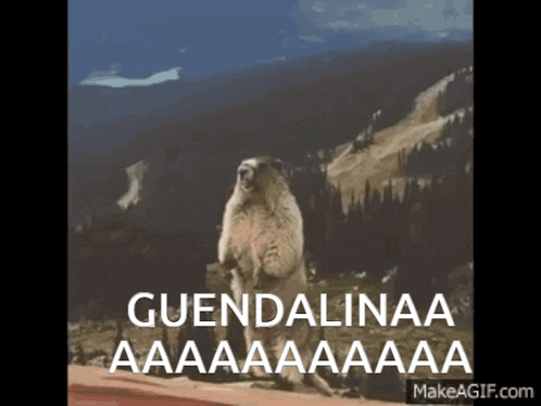 Guendalinaaaaaaaaaaaa GIF