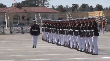 Military Parade GIF - Military Parade GIFs