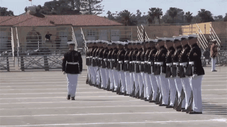 a row of soldiers marching in a line with a man walking in front of them