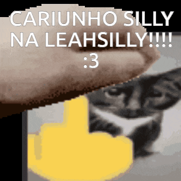 a pixelated image of a cat and the words cariunho silly na leahsilly : 3